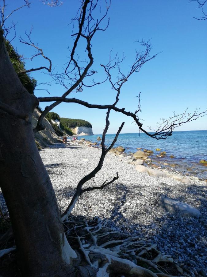 Ferienwohnung "Kranich" Im Ferien-Resort Ruegen Sagard Buitenkant foto