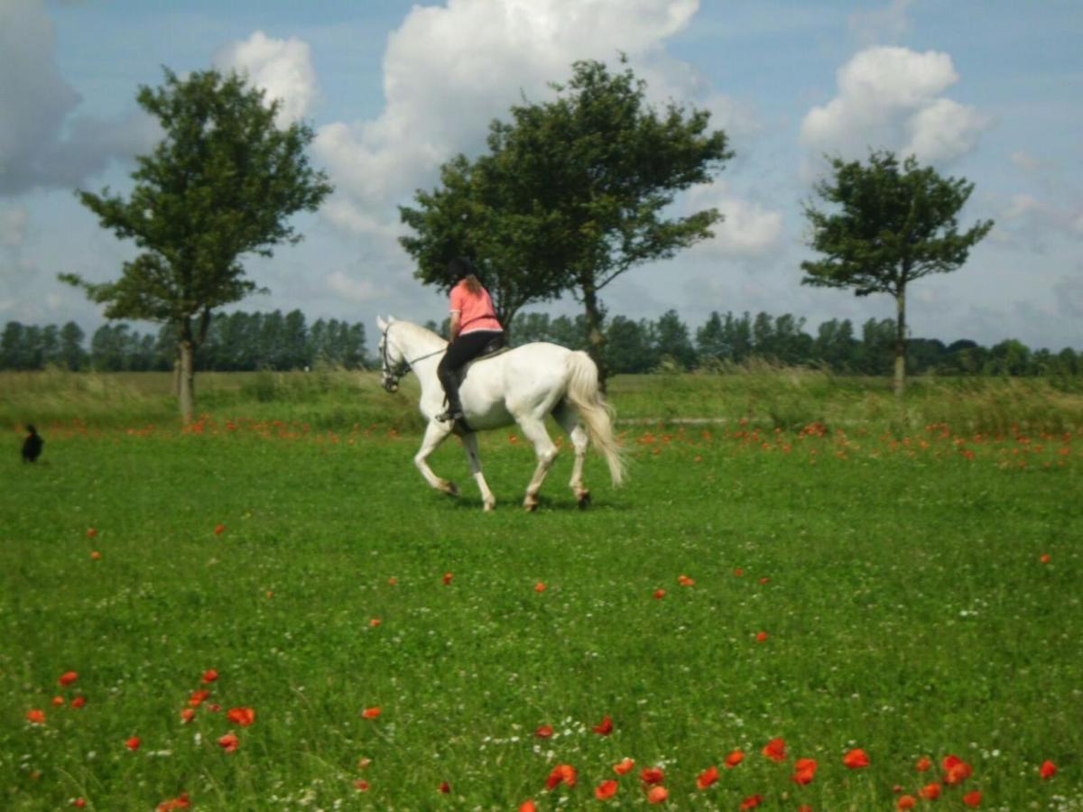 Ferienwohnung "Kranich" Im Ferien-Resort Ruegen Sagard Buitenkant foto